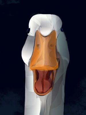 What's up, Duck? - tegnet p iPad